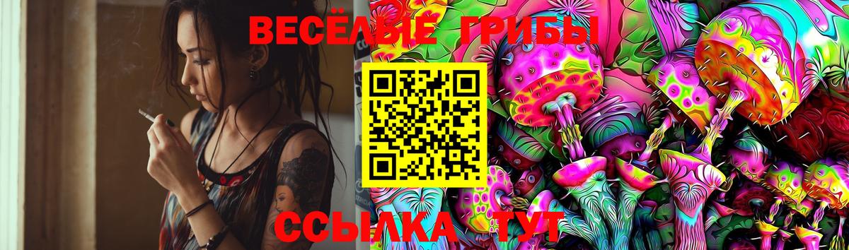 Тюмень  Псилоцибиновые грибы Magic Shrooms  Вход с VPN 